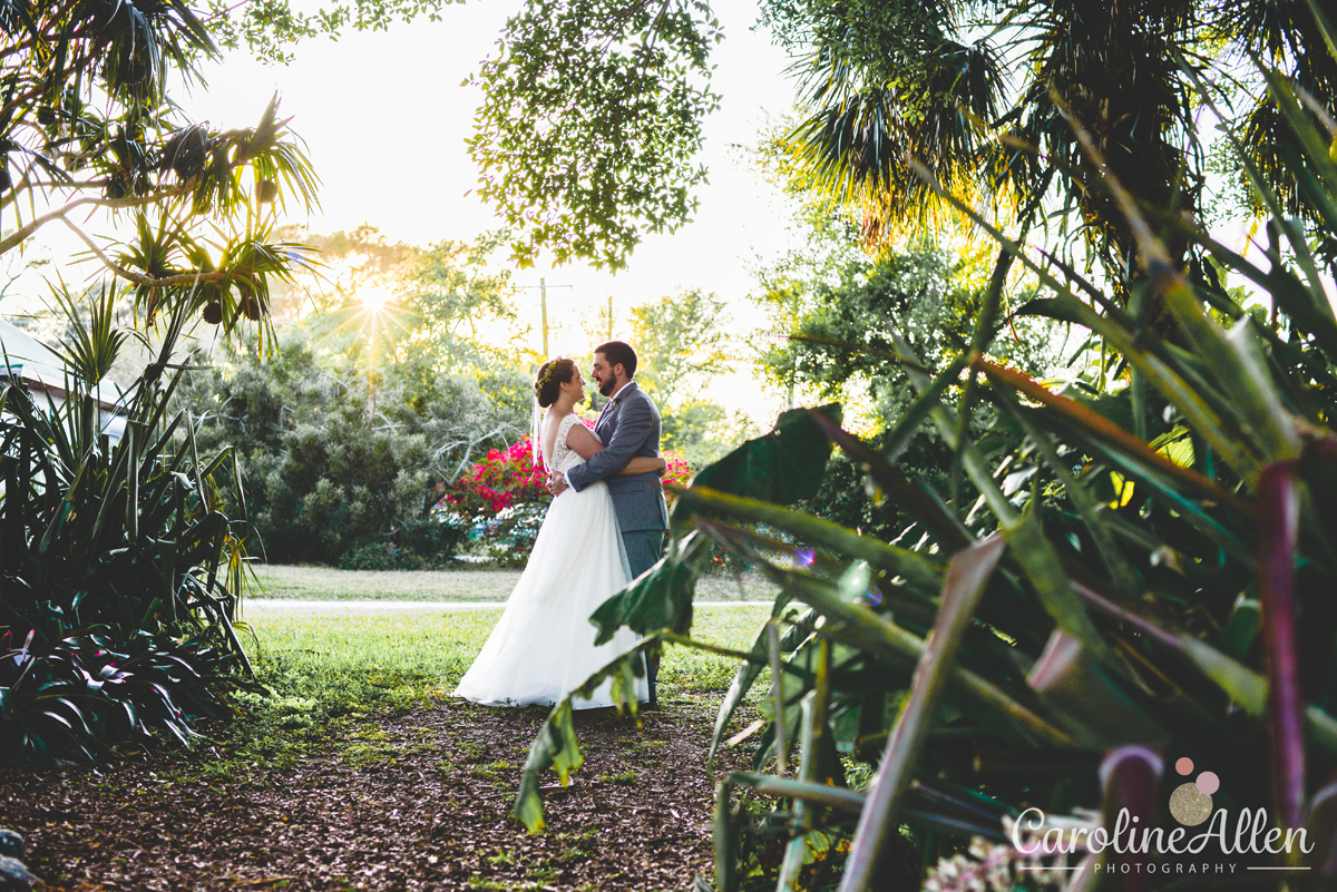 greenery, sunset, botanical garden