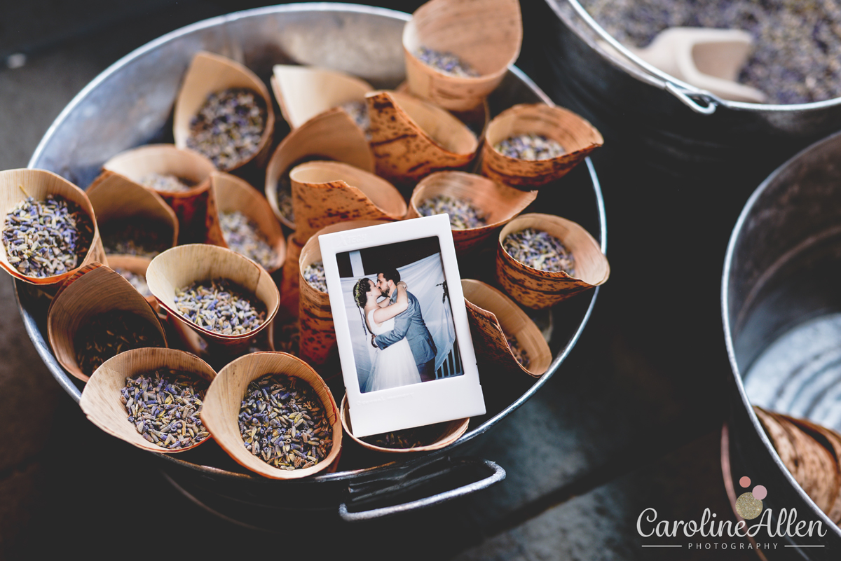 Polaroid, lavender, buckets