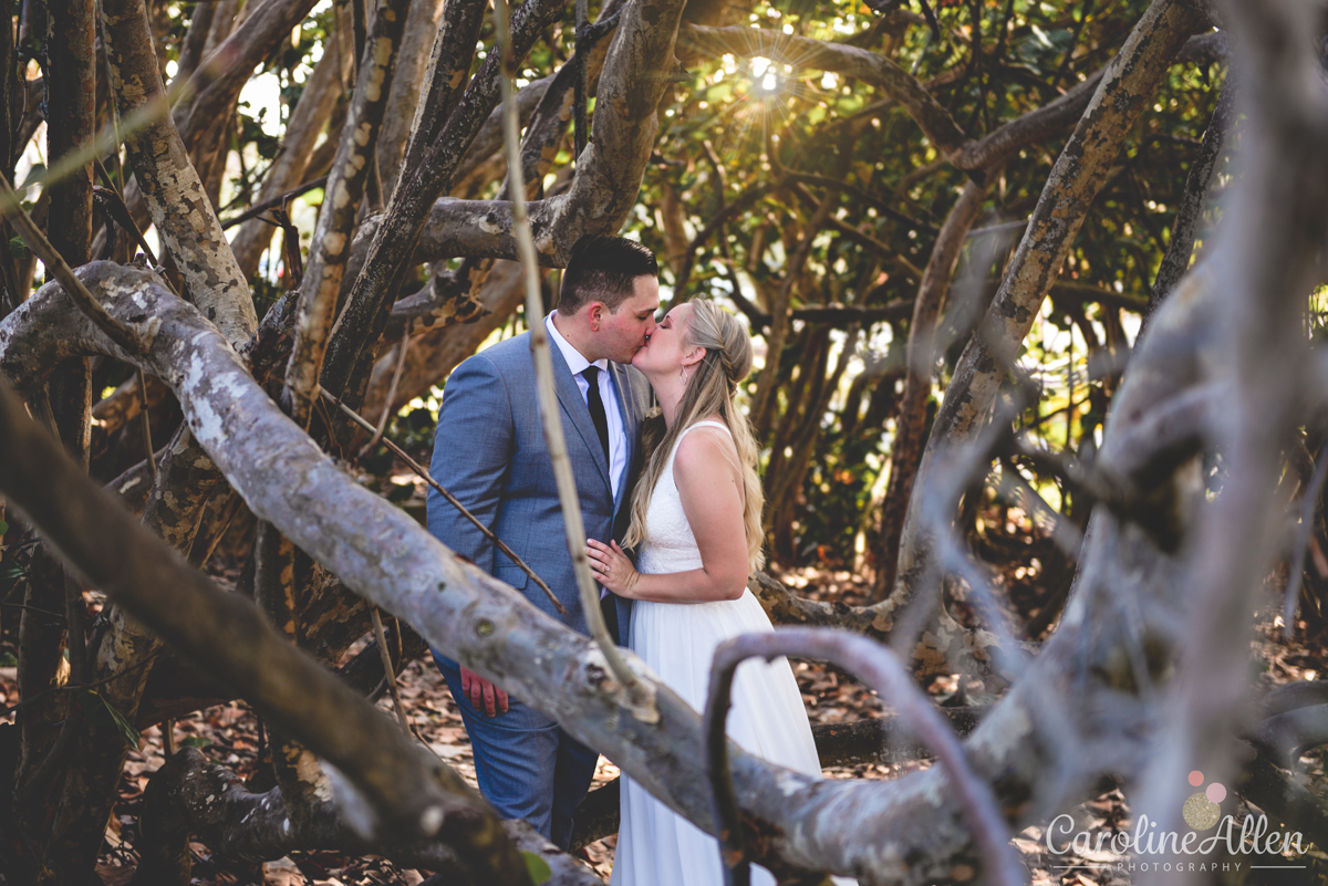 couple, kissing, trees, sun flare 