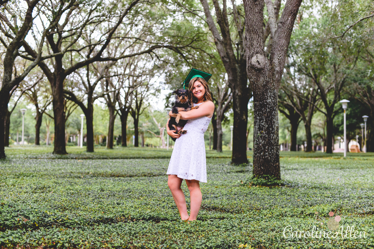 dog, field, oak trees, greenery, graduation 