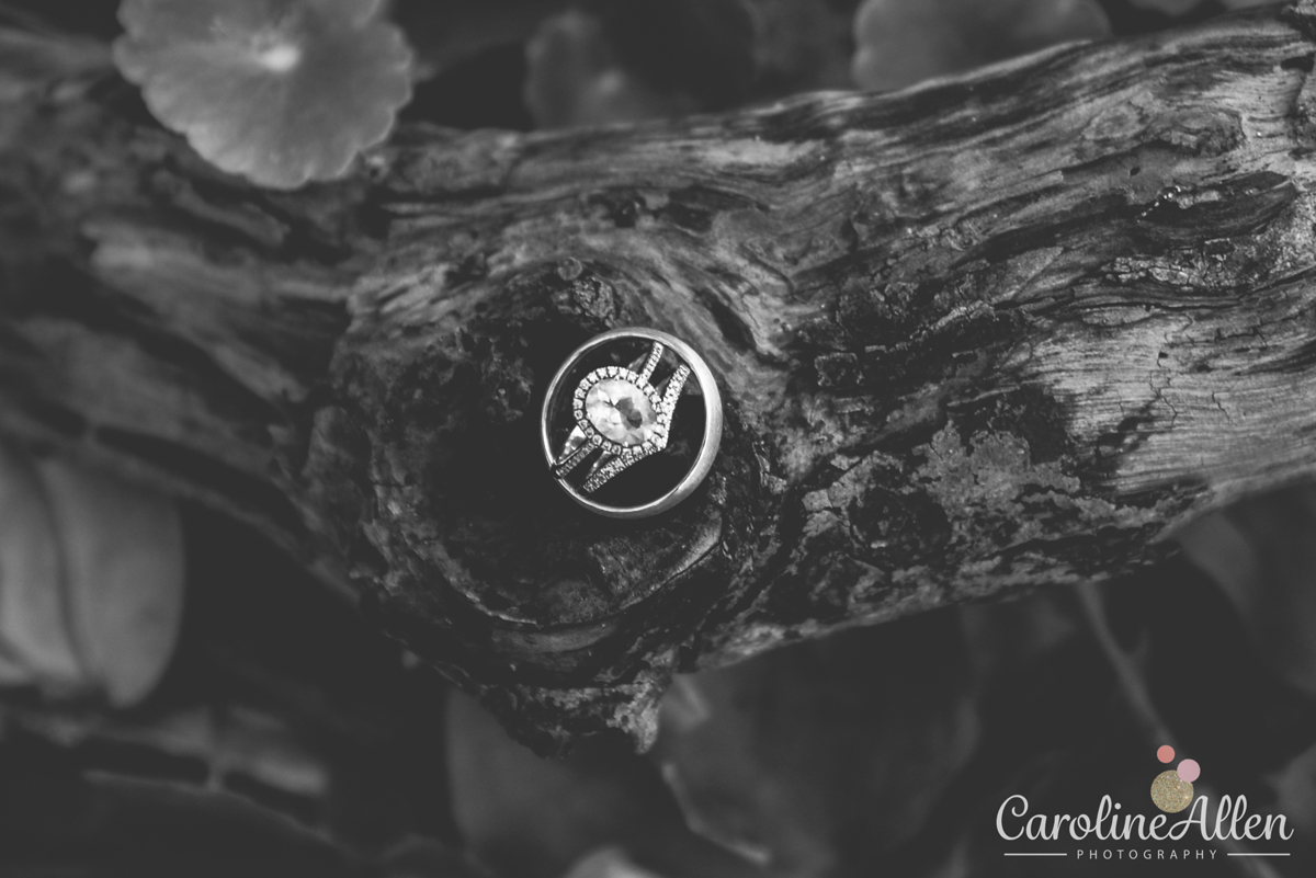 diamond ring, wood, black and white