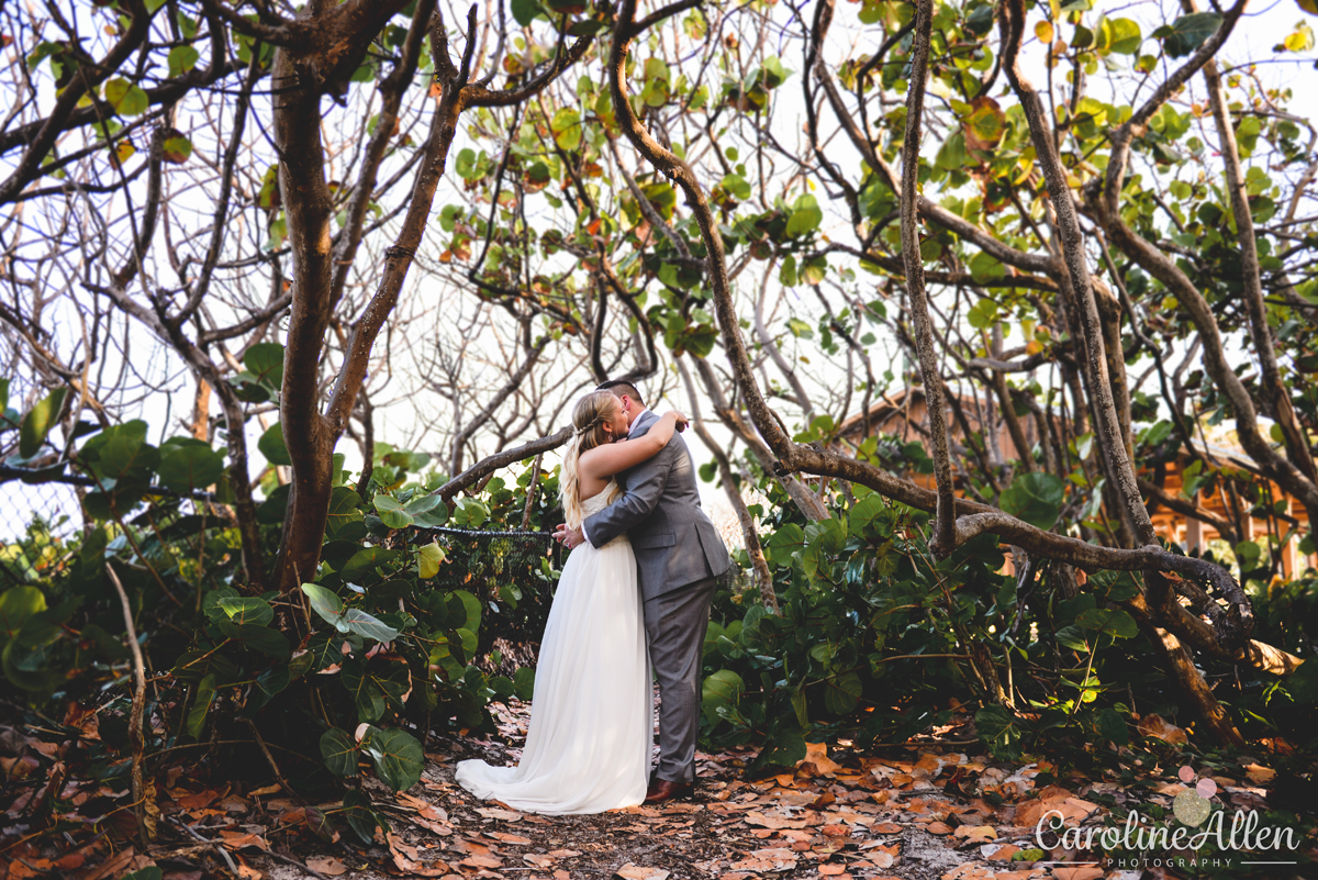 sea grape trees, hugging, just married