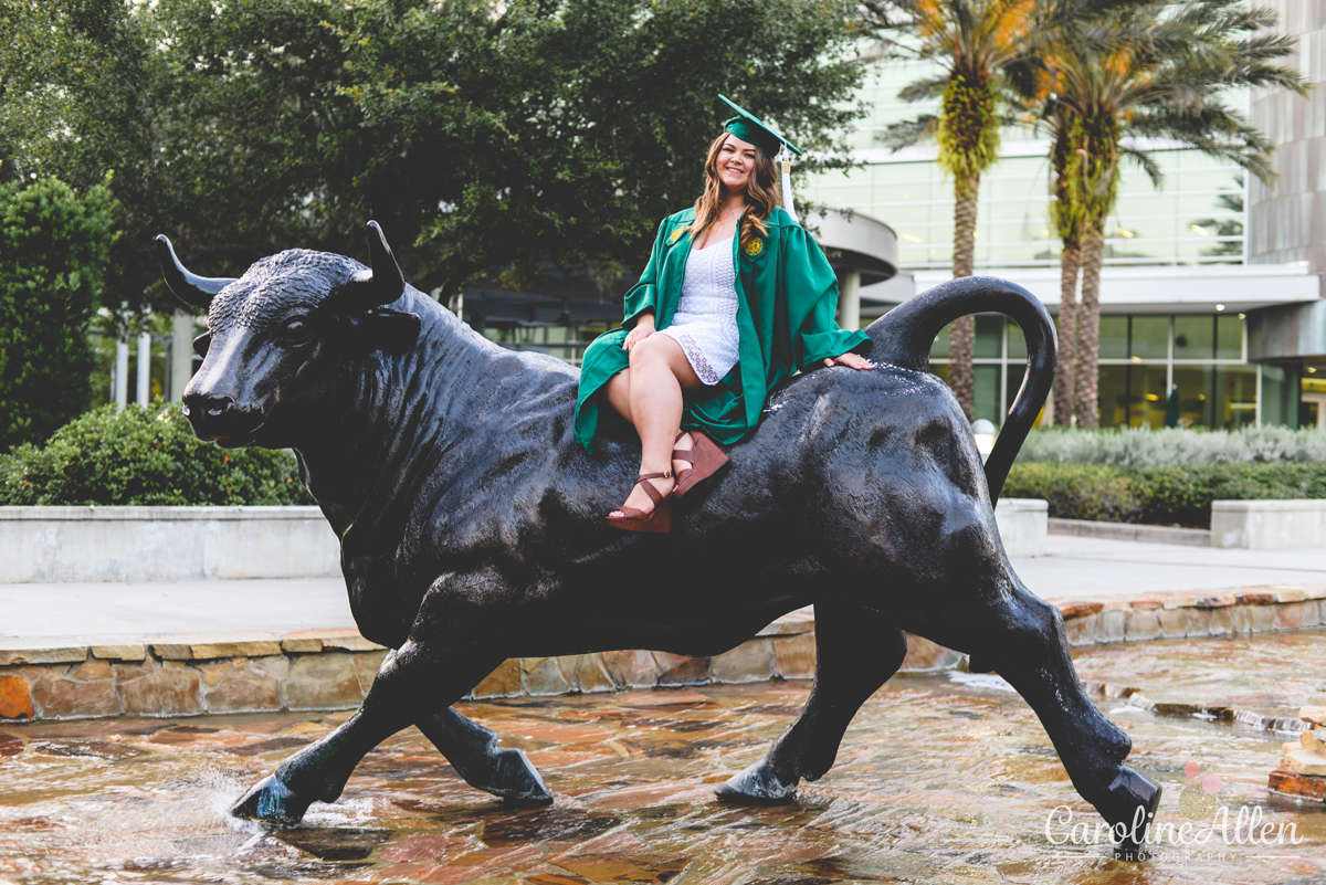 statue, bull, water, graduation, usf