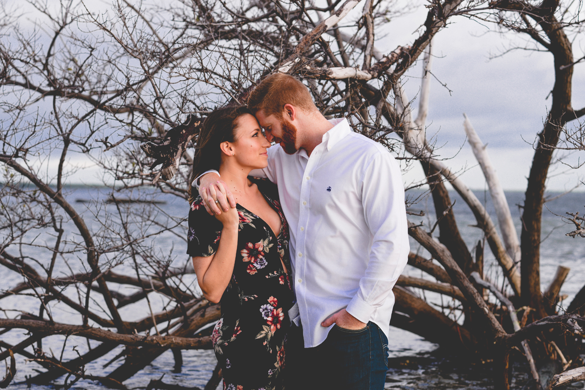 storm, sky, ocean, trees, nature, couple