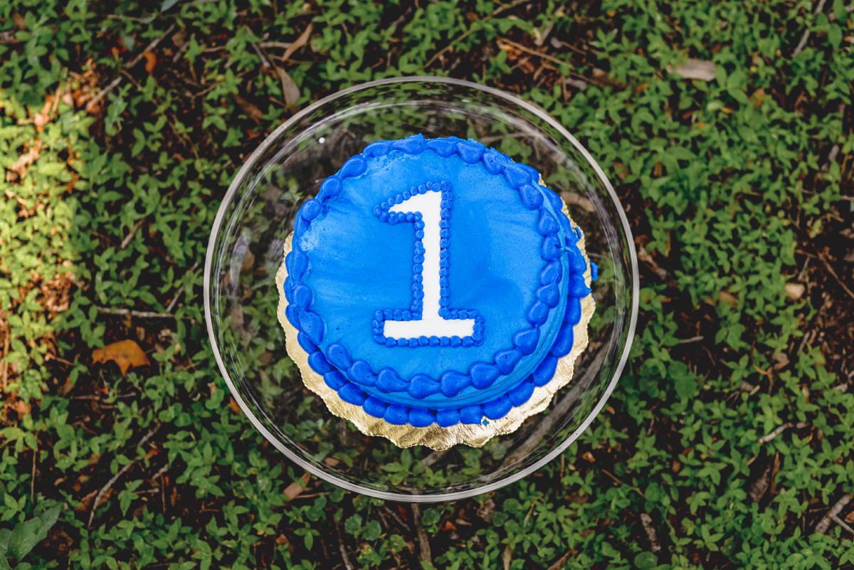 birthday, cake, grass, blue, icing 