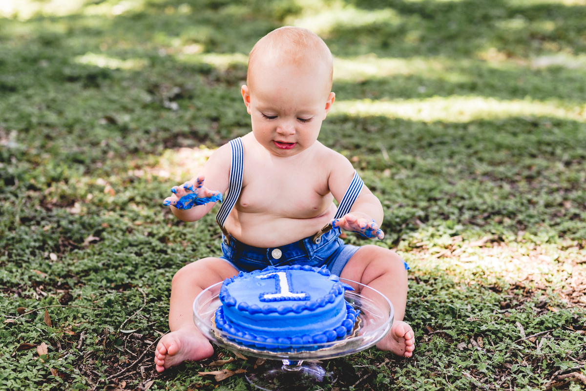 cake, first birthday, blue, baby, boy, park