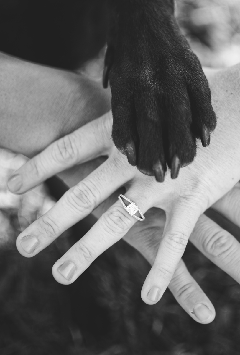 black and white, ring, dog, dog paw