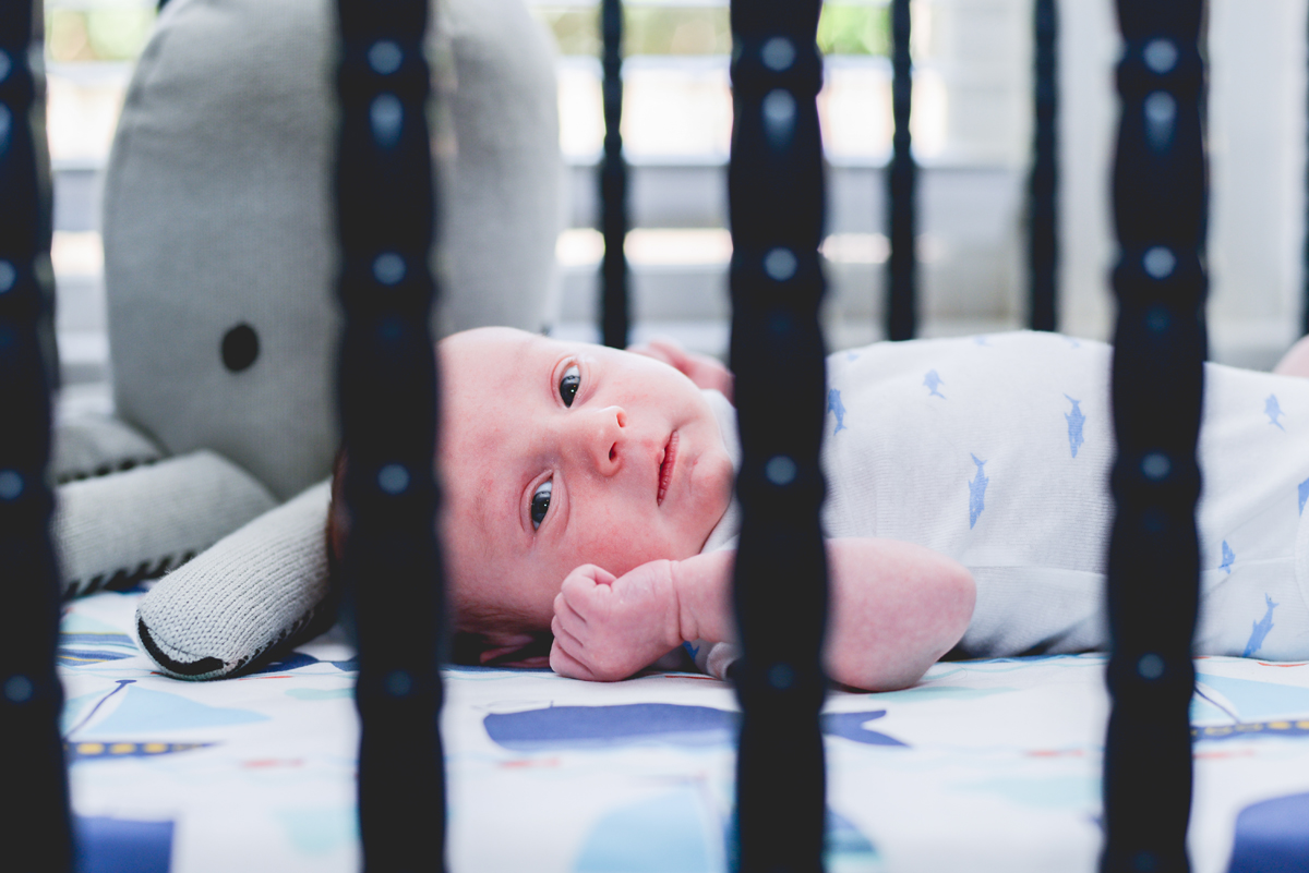 baby, newborn, boy, crib, octopus 