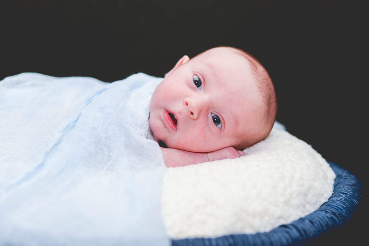 newborn, baby, boy, blue, shocked