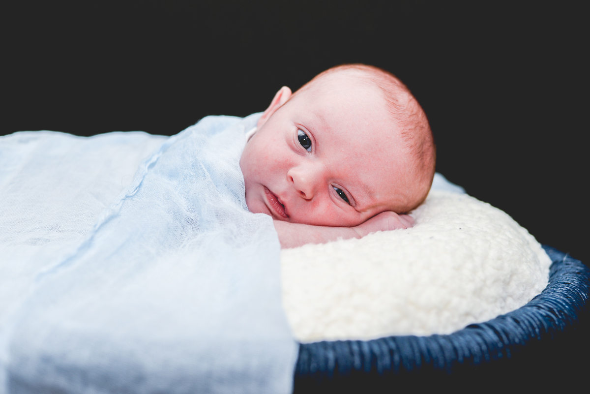 newborn, baby, boy, posed, blue, basket