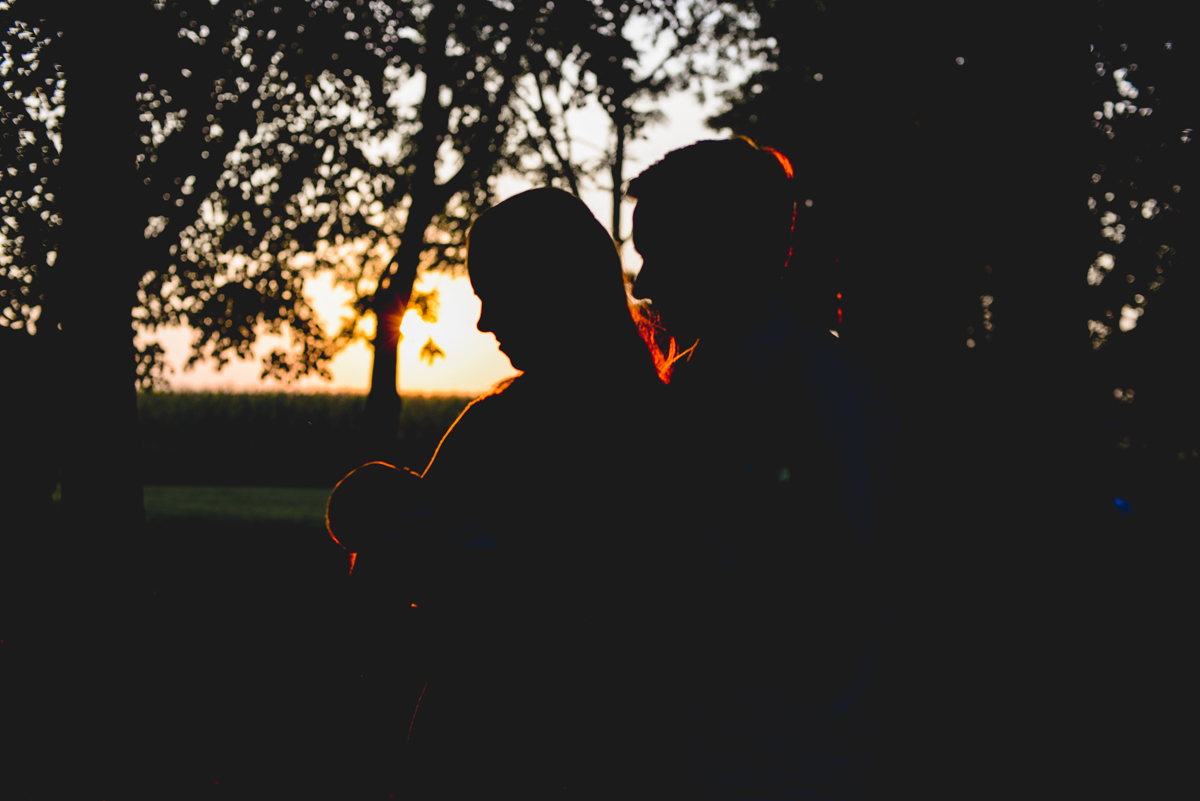 sunset, silhouette, forest, trees, shadows 