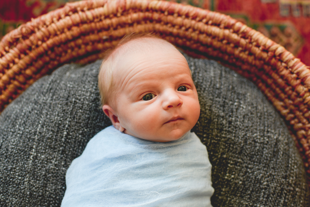 newborn, basket, blue, natural