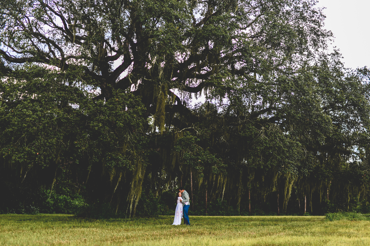 oak tree, field, nature, grass, couple, dress