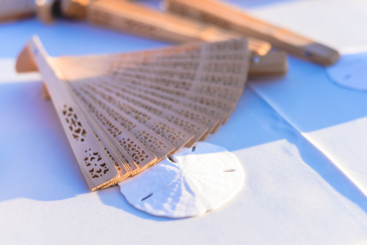 wood, fan, sand dollar, white, sun