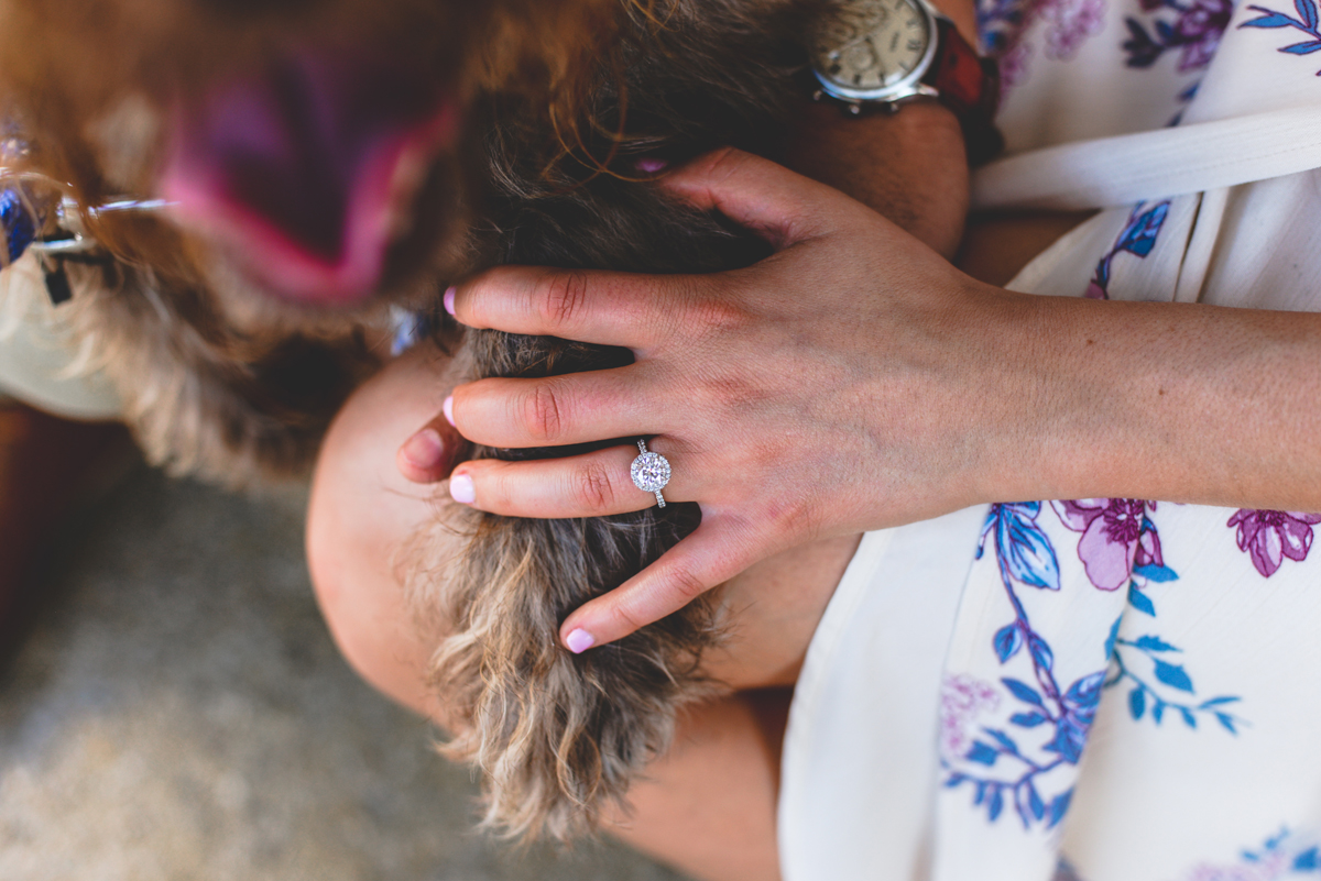 ring shot, dog, paw, diamond, engaged 