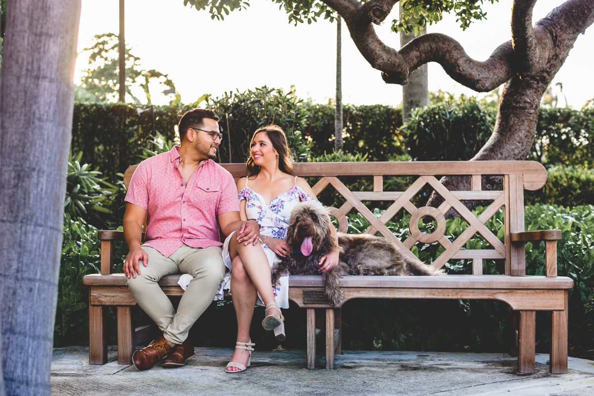 bench, trees, sunset, couple, love, dog