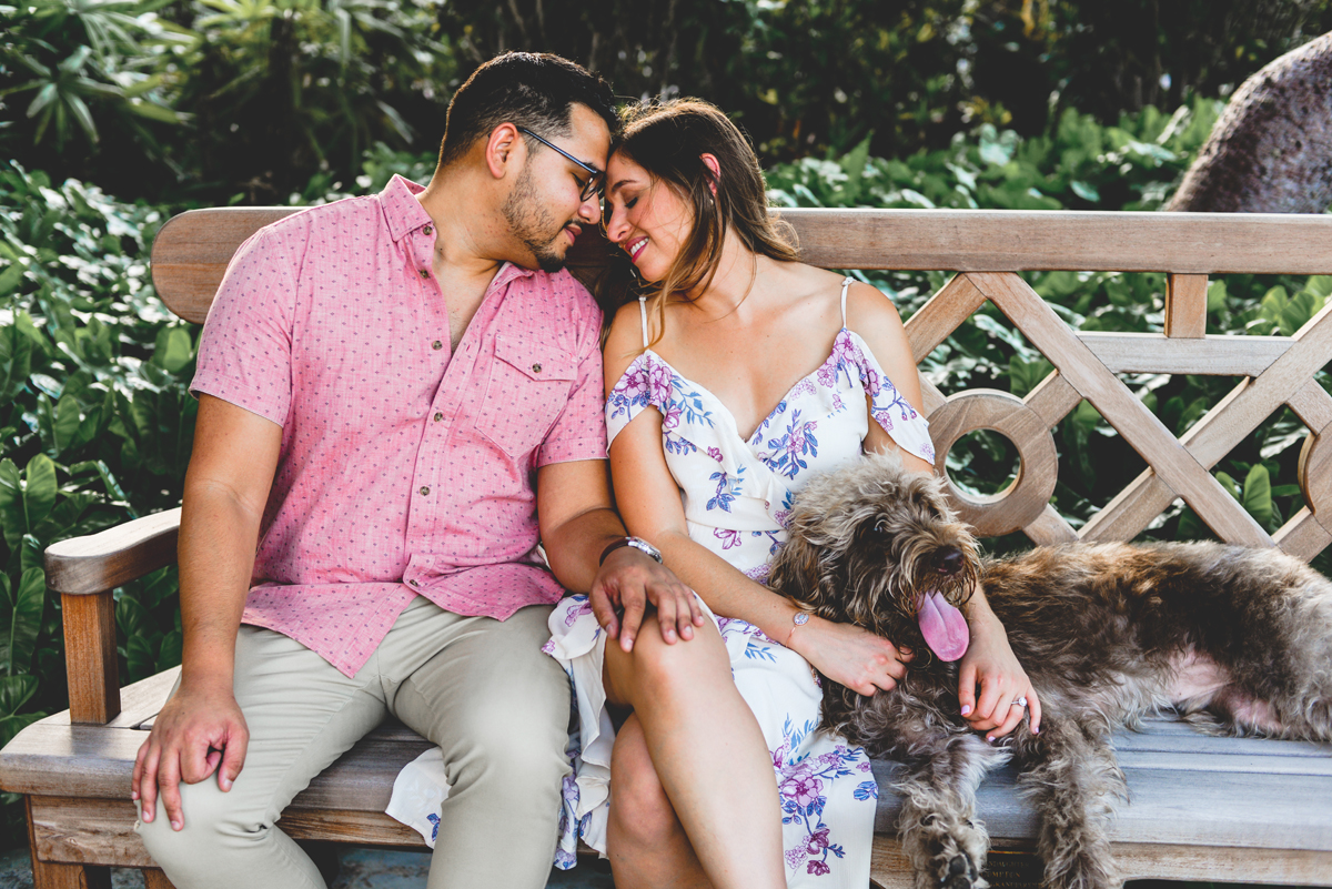 sitting, sunset, dog, couple, love