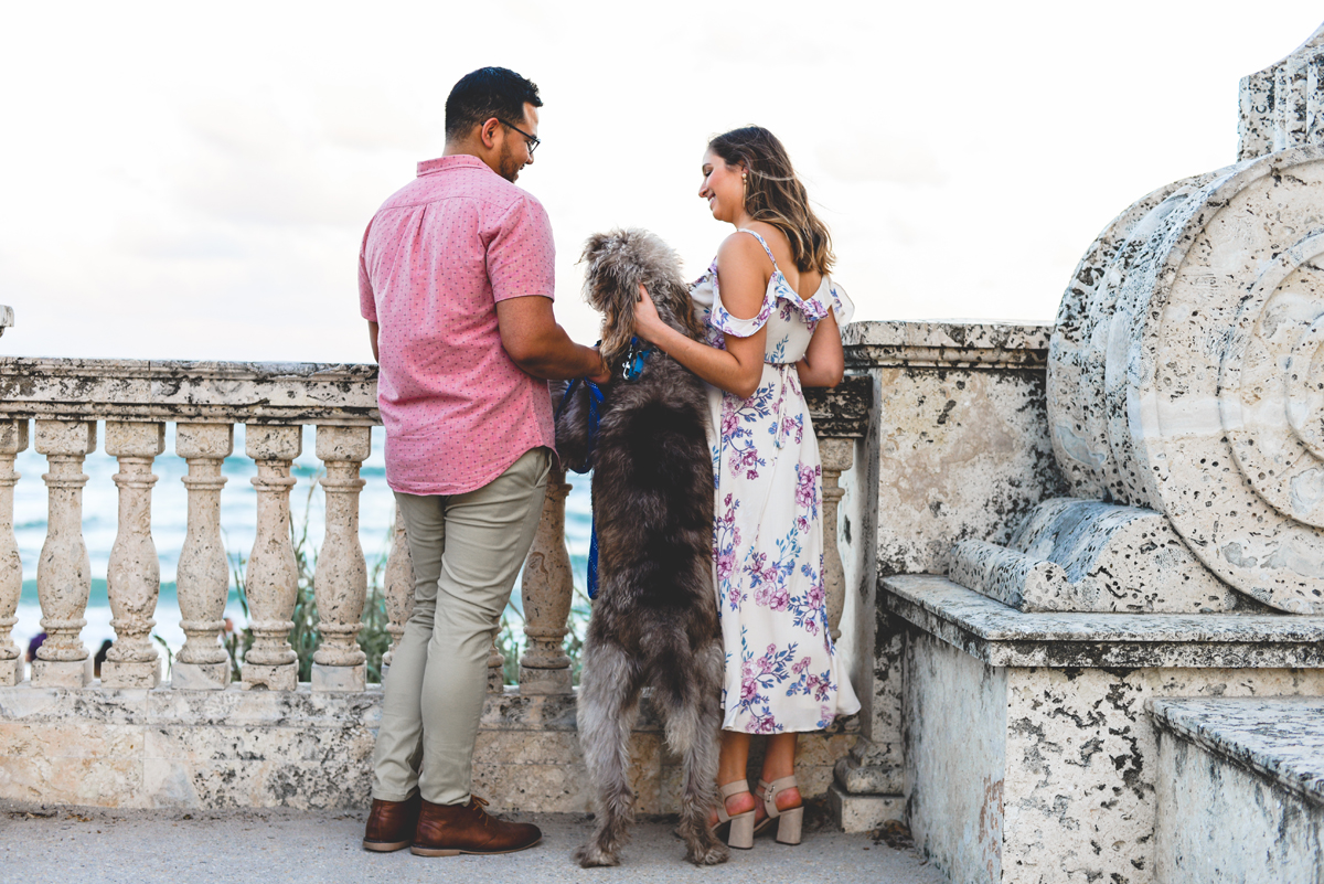 beach, east coast, looking, dog, couple, stone