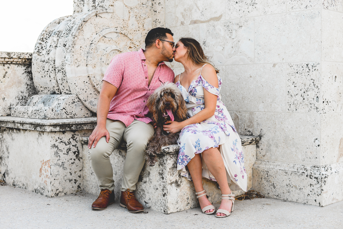 stone, sitting, dogs, kissing, love, beach