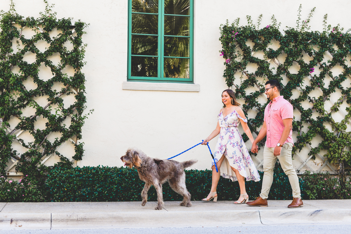 dog, walking, laughing, holding hands, couple