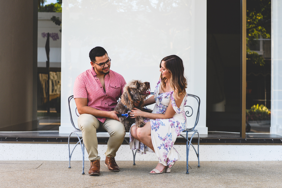 downtown, window, sitting, couple, dog, smiles