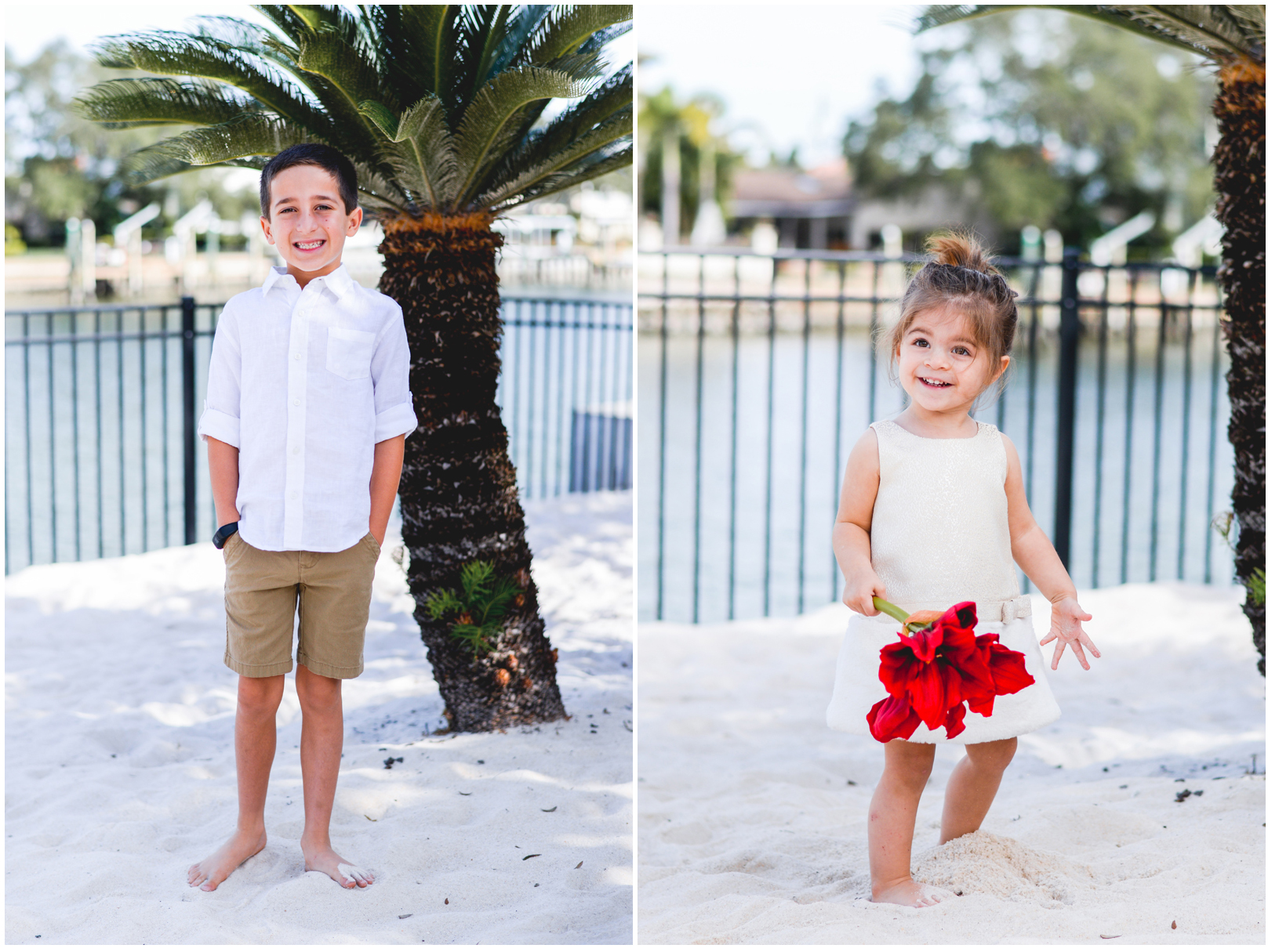 sand, water, palm trees, siblings, christmas, flower