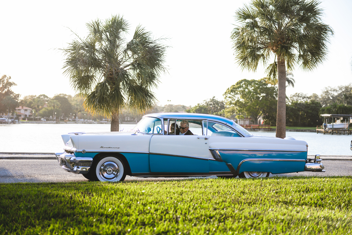 palm trees, grass, vintage car, water, beach