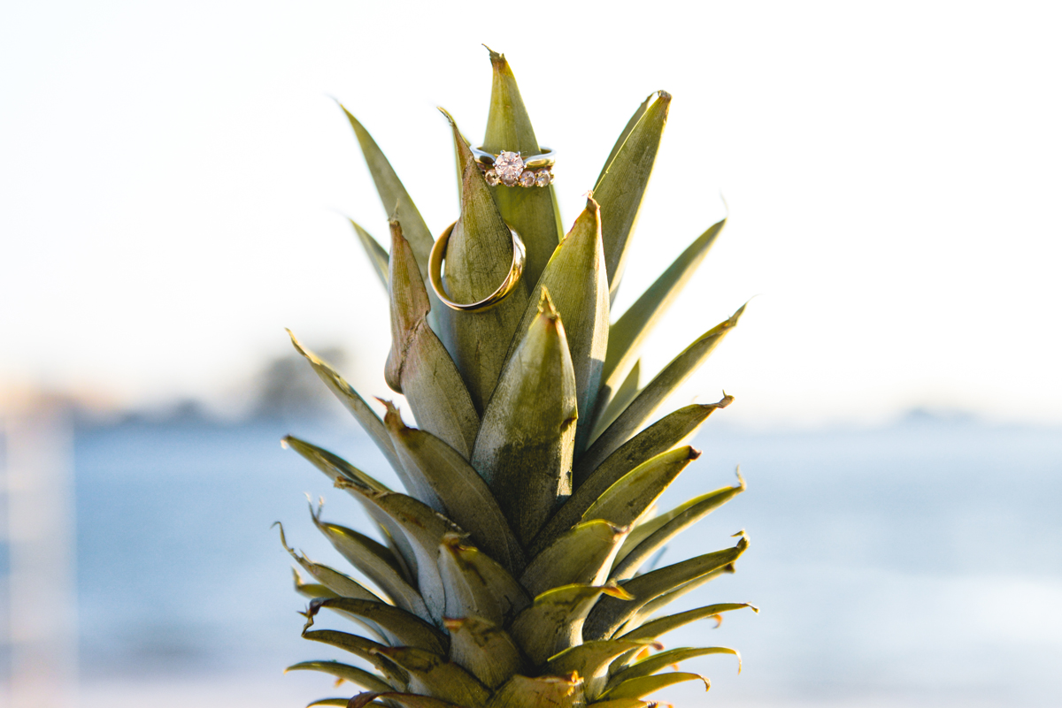 pineapple, rings, detail, sunset, water