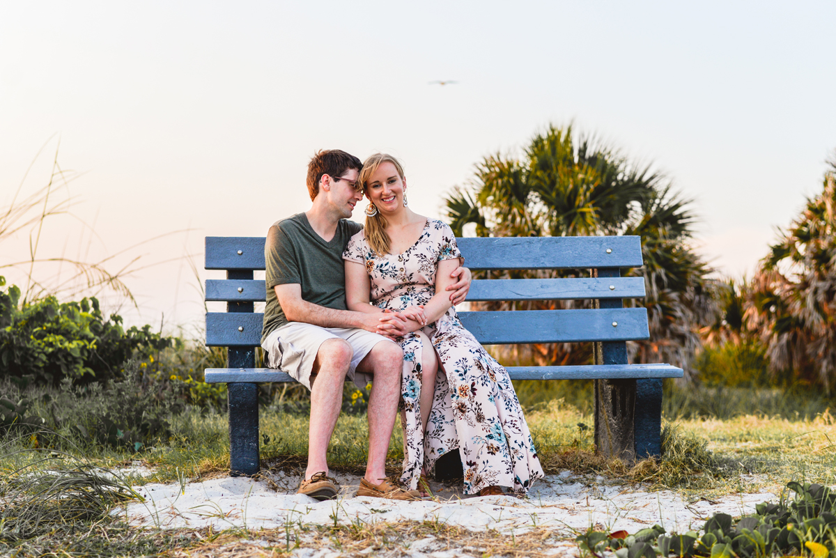 bench, sand, beach, palm tree, bird, park