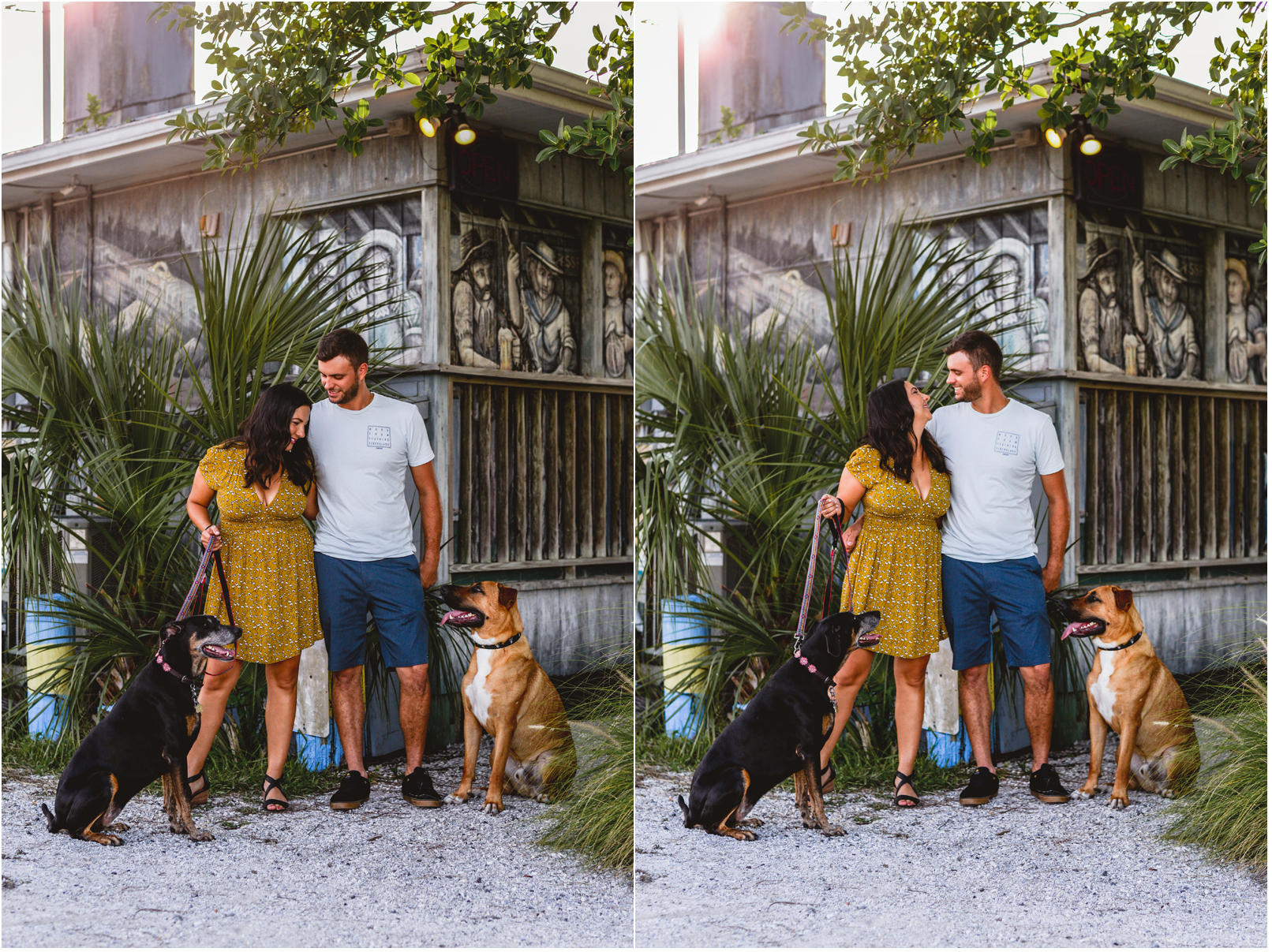 couple, dogs, sand, beach, bar