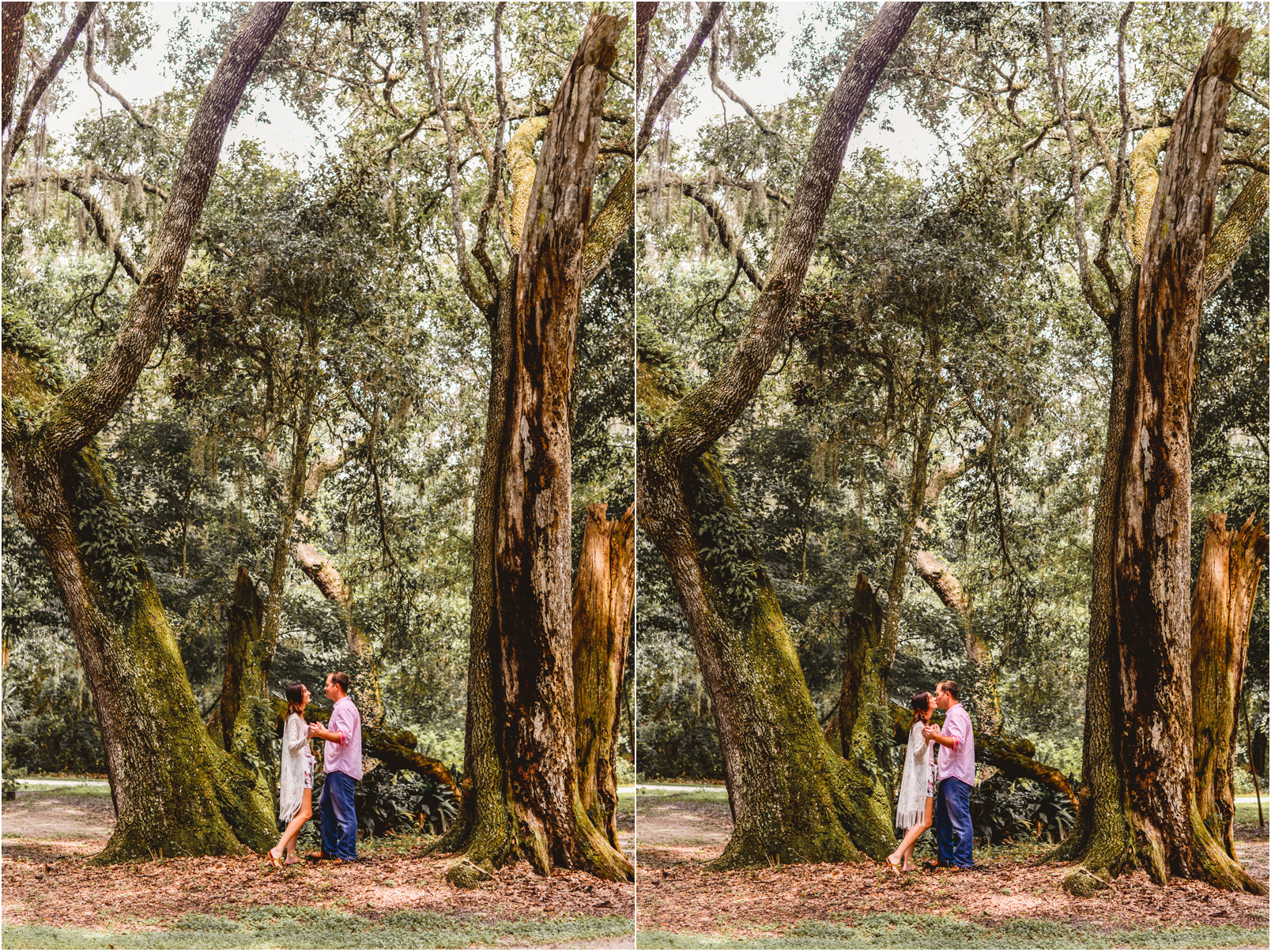 greenery, forest, trees, couple, holding hands