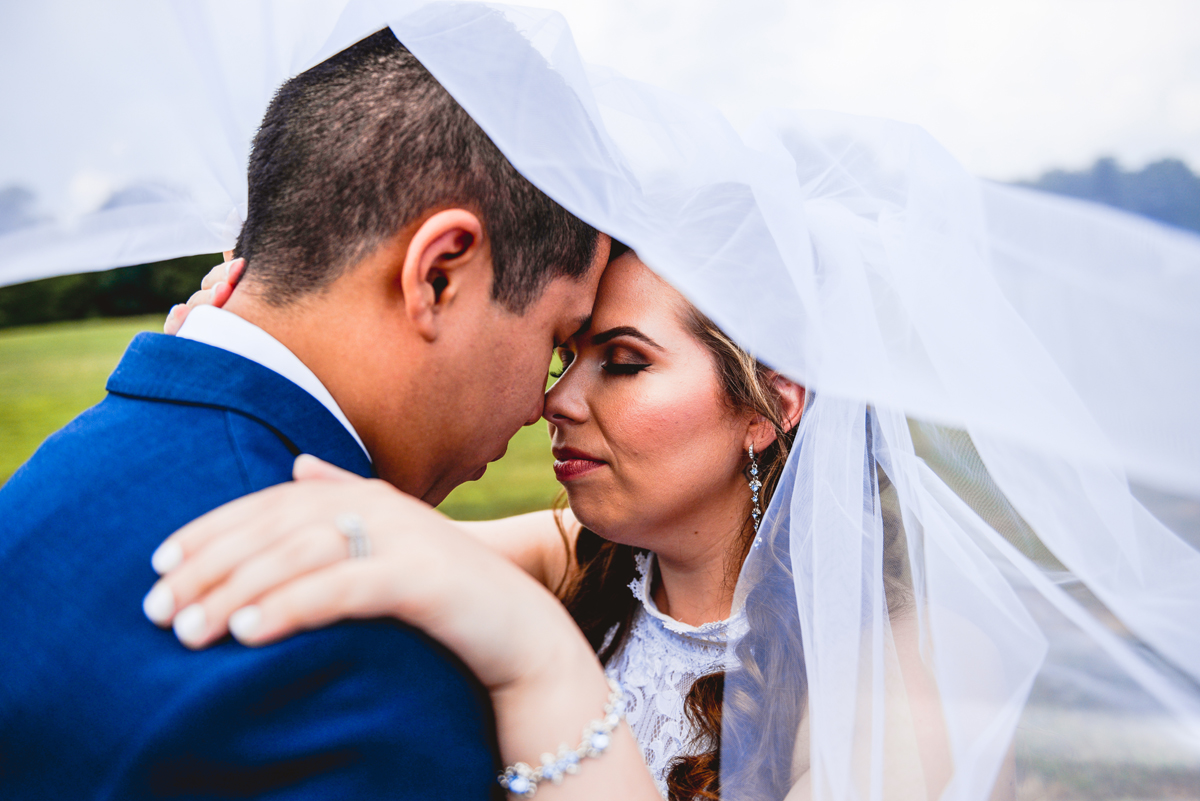 viel, bride, groom, portrait, wedding