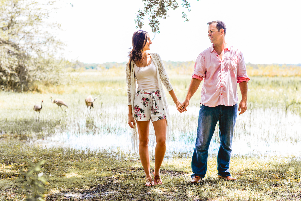 park, wildlife, birds, sandhill cranes, water, holding hands