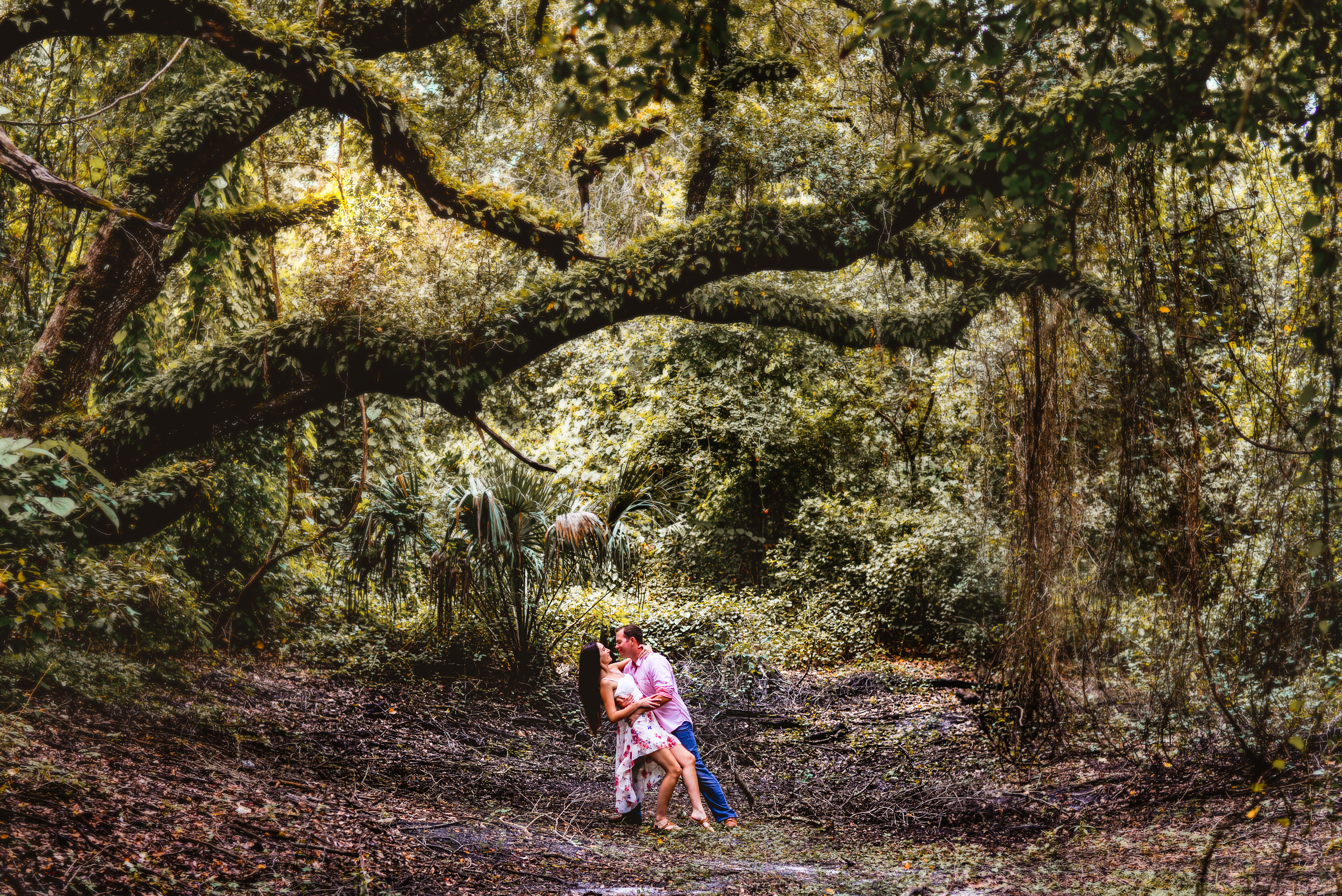 park, forest, trees, couple, dancing, engaged 