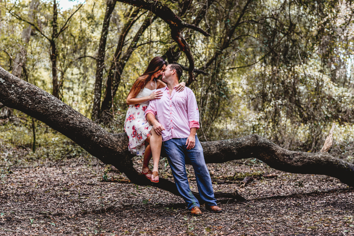 tree, sitting, branches, park, couple