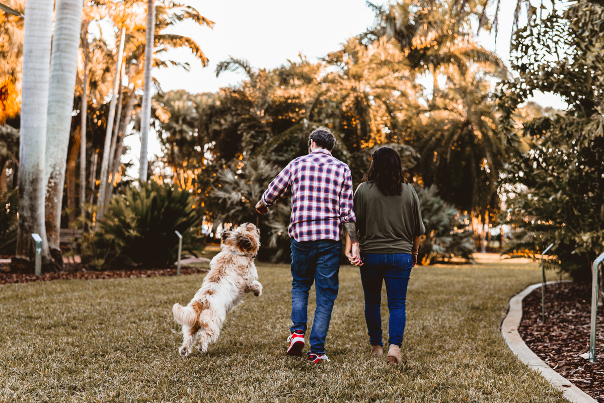 North Shore Park Engagement