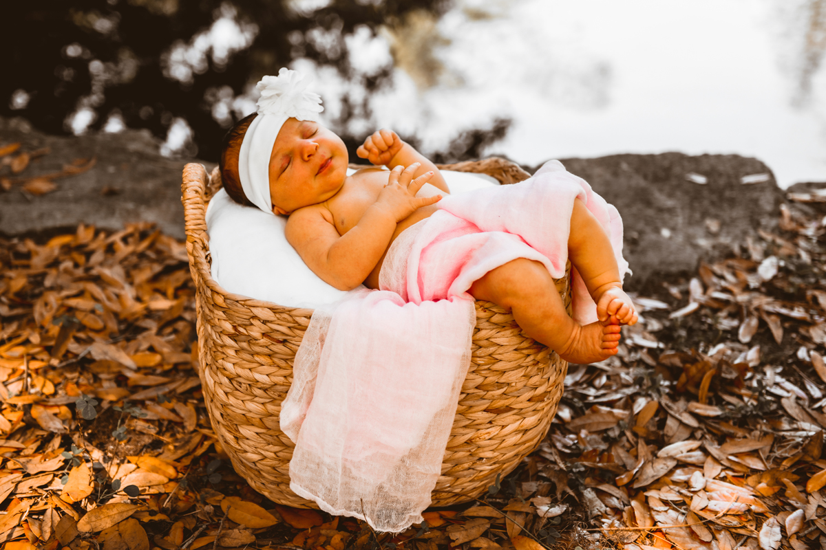 Seminole Heights Newborn Session