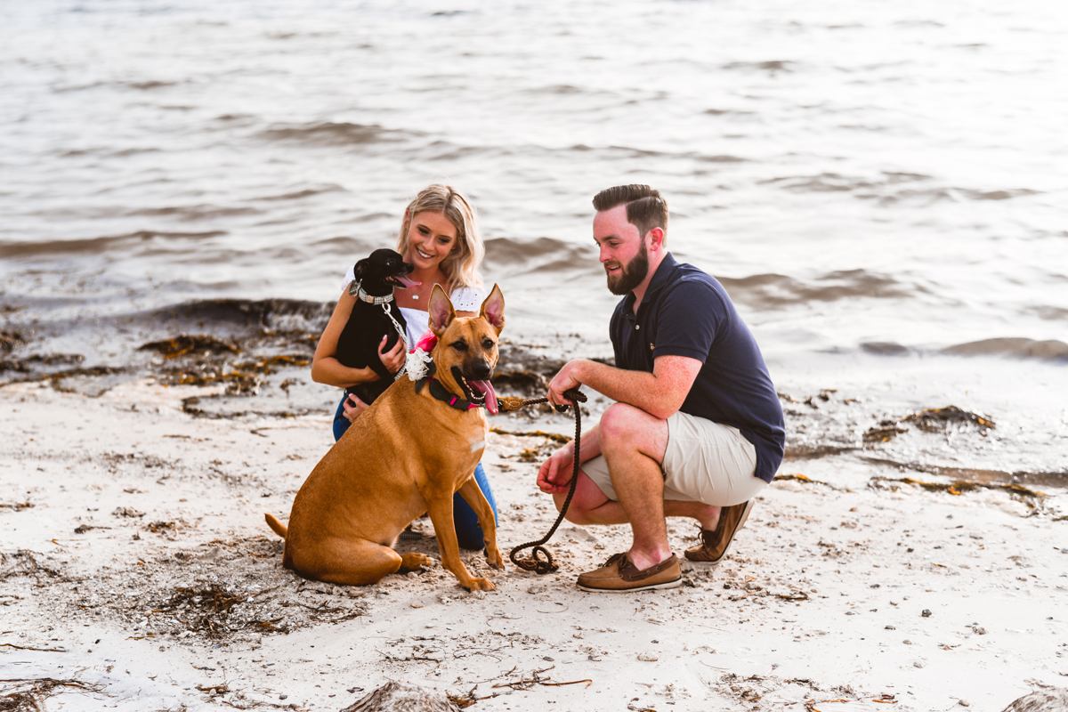 Engagement Photos at Picnic Island