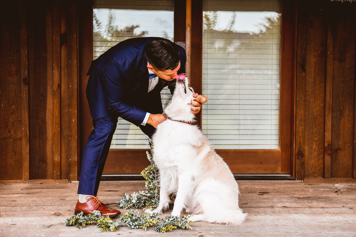 Happily Ever After at the Barn Wedding