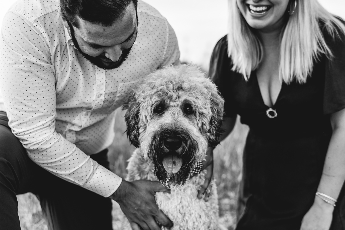 Honeymoon Island Engagement