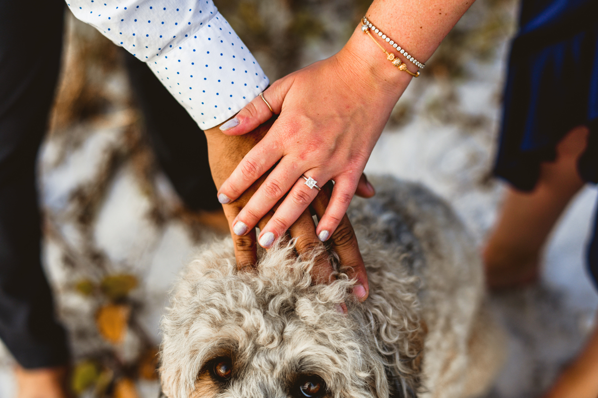 Honeymoon Island Engagement