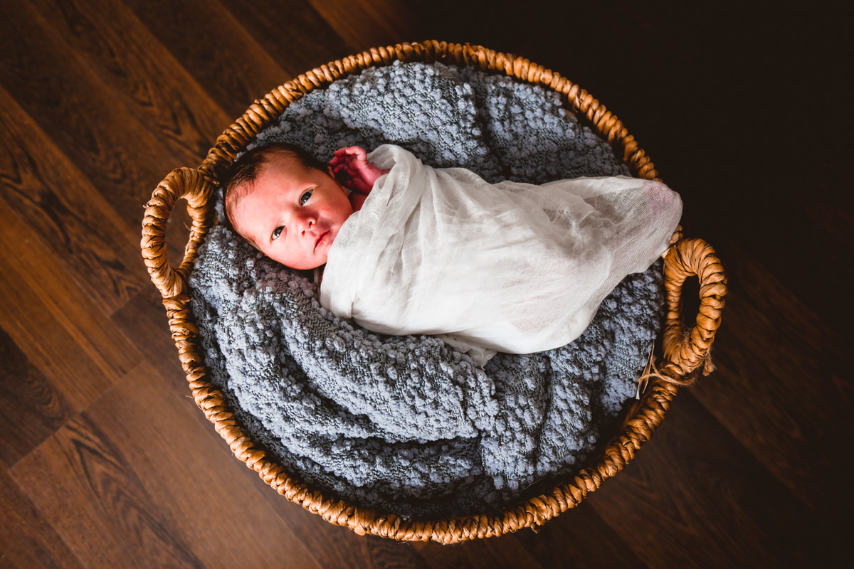 Tampa Newborn Session