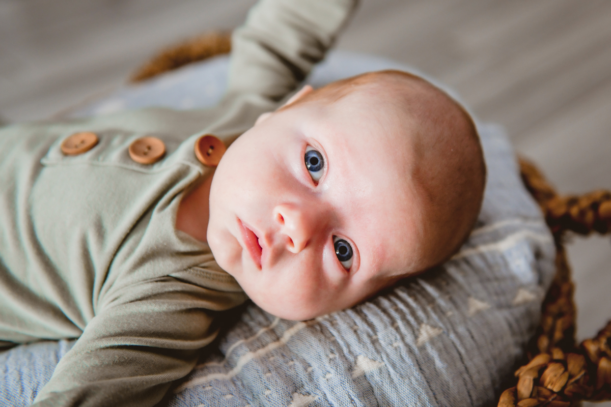 Newborn Session Seminole Heights