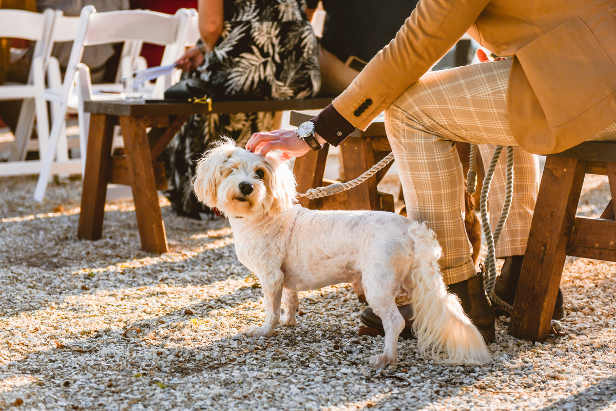 Odessa Barn Wedding